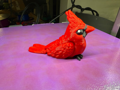 Cardinal Fidget
