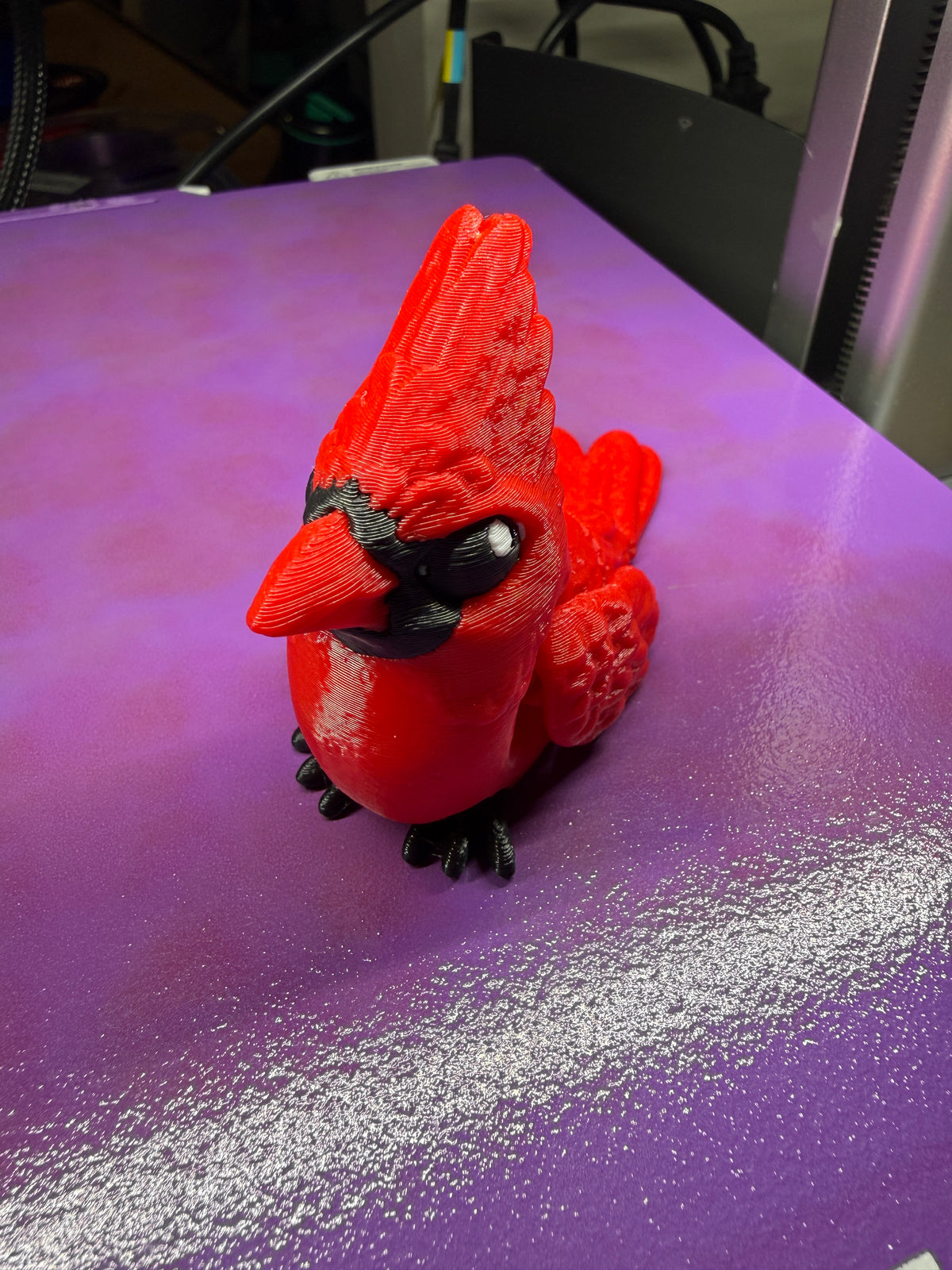 Cardinal Fidget