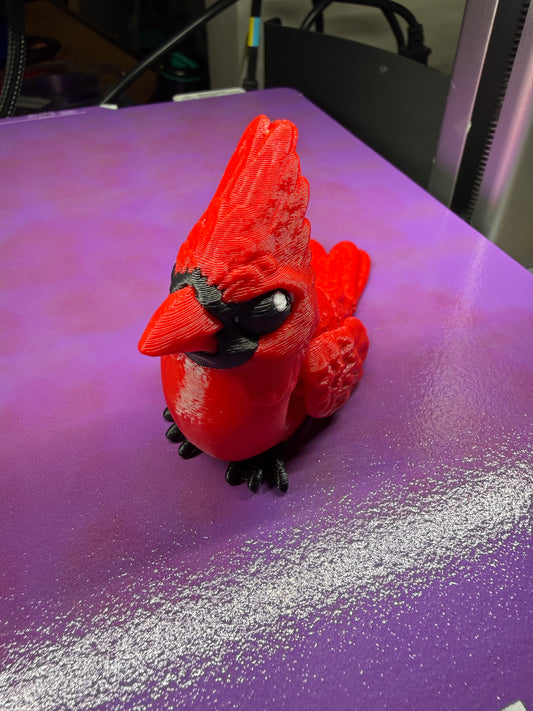 Cardinal Fidget