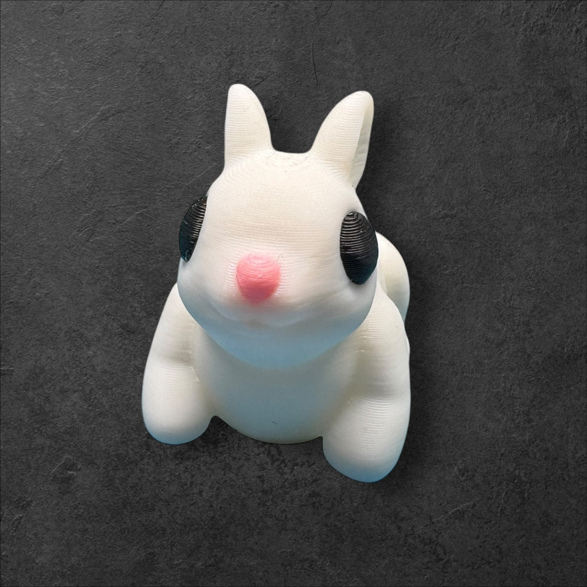 Rabbit