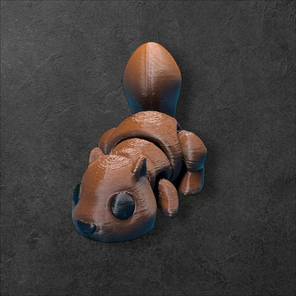 Squirrel