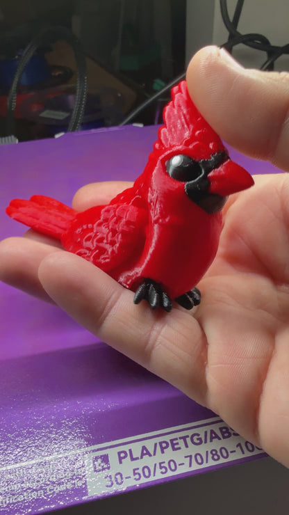 Cardinal Fidget